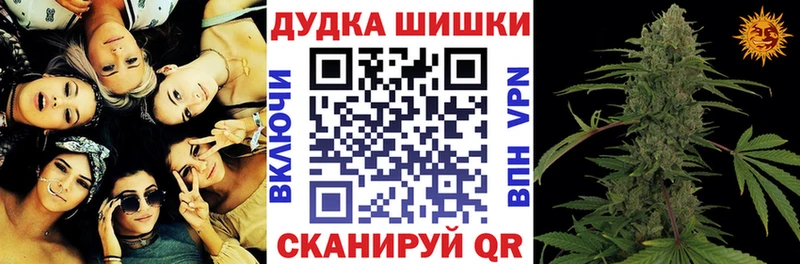 Бошки Шишки Печора