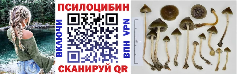 Псилоцибиновые грибы мицелий  наркотики  Печора 